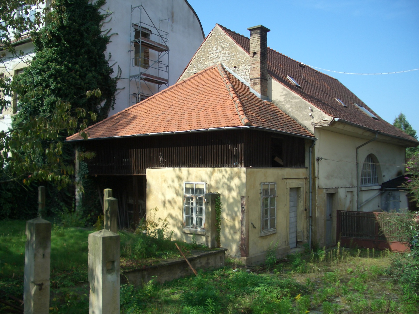 CIMG6225